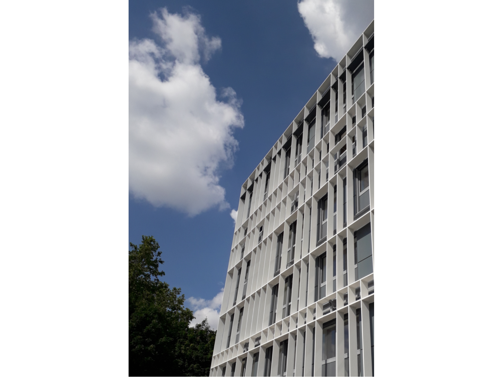 Bardage à Lyon — photo chantier 4