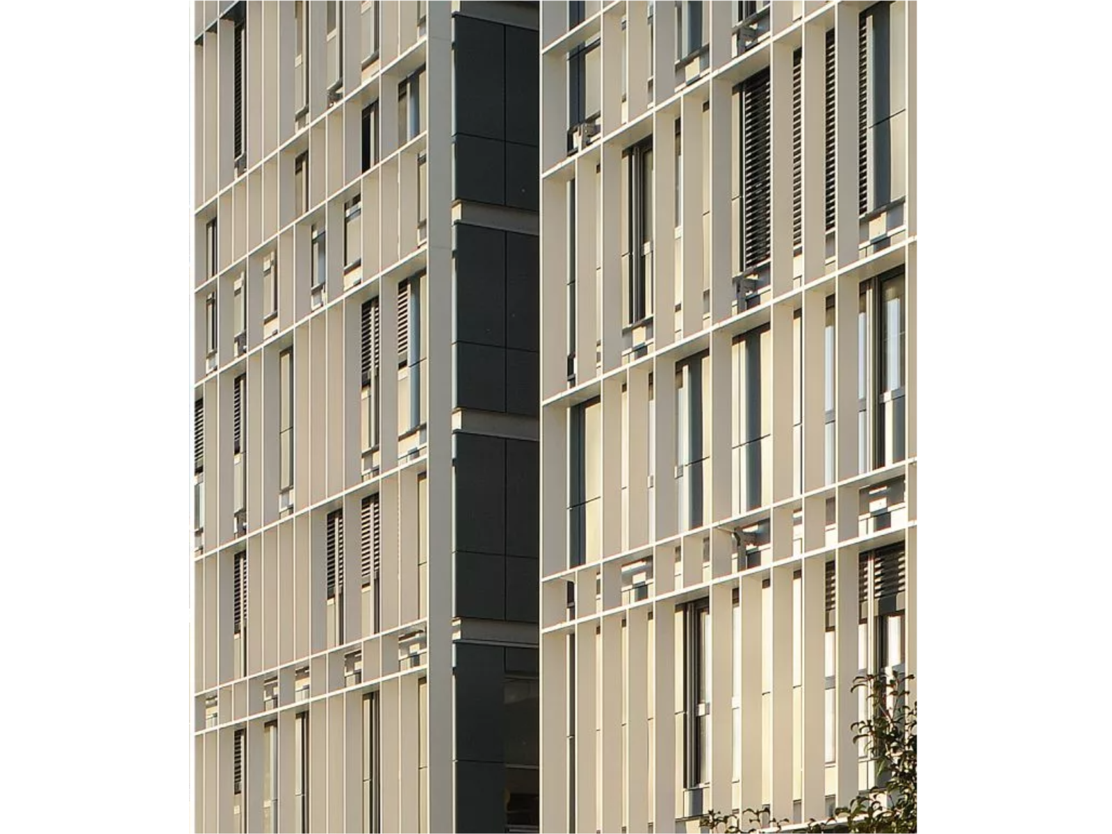 Bardage à Lyon — photo chantier 6